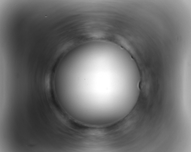 X0000088640106200706011210