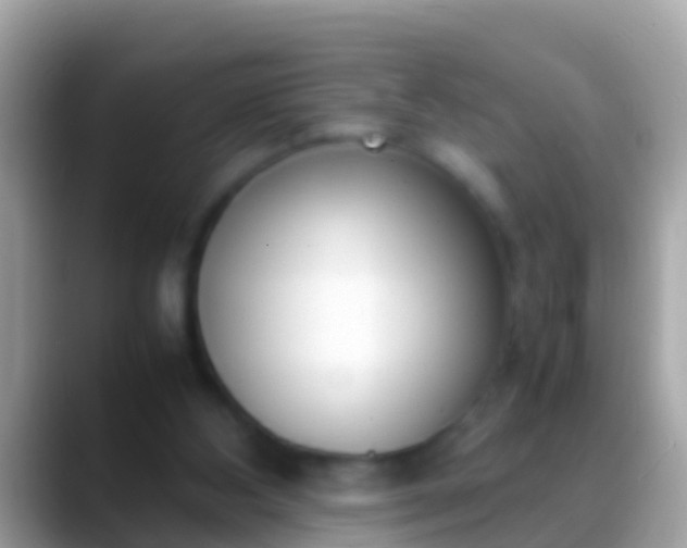 X0000088640108200706011210