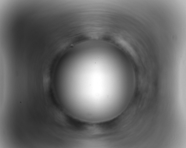 X0000088640113200706011210