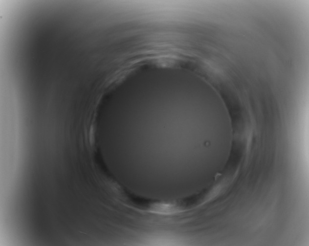 X0000088640139200706011210