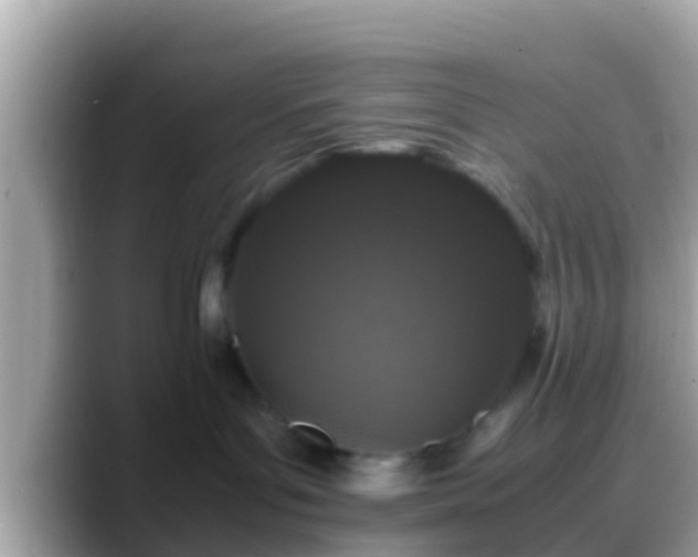 X0000088640143200706011209