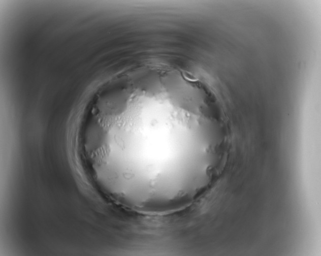 X0000088640145200706011209