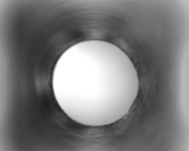 X0000088640146200706011209
