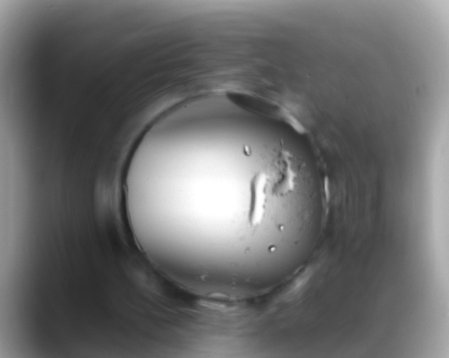 X0000088640148200706011209