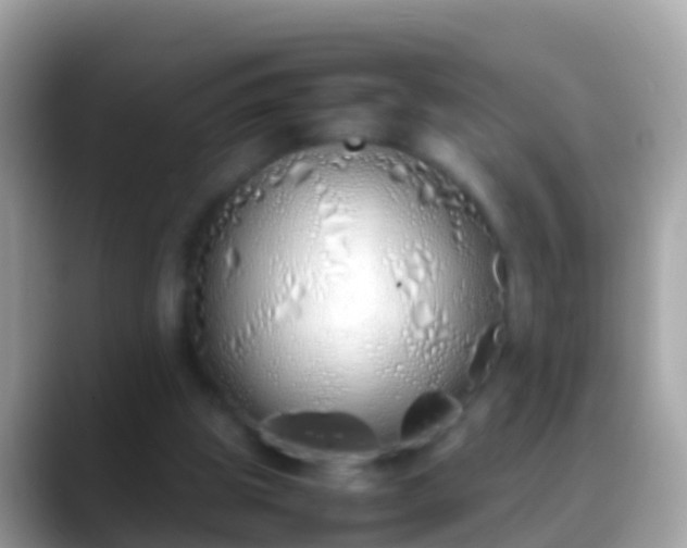 X0000088640153200706011209