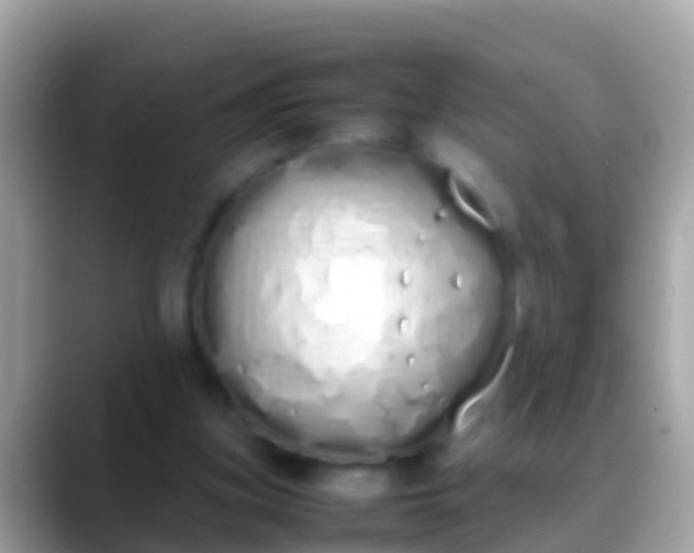 X0000088640155200706011209