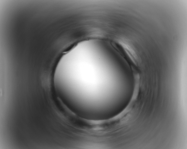 X0000088640156200706011209