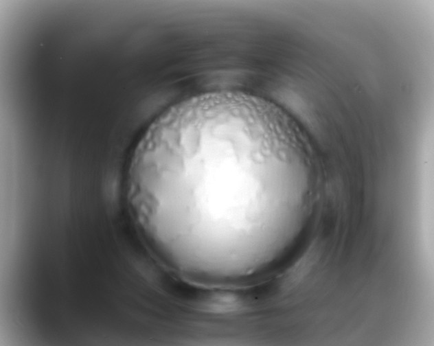 X0000088640159200706011209