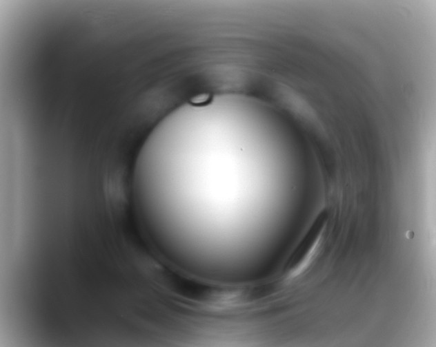 X0000088640170200706011209