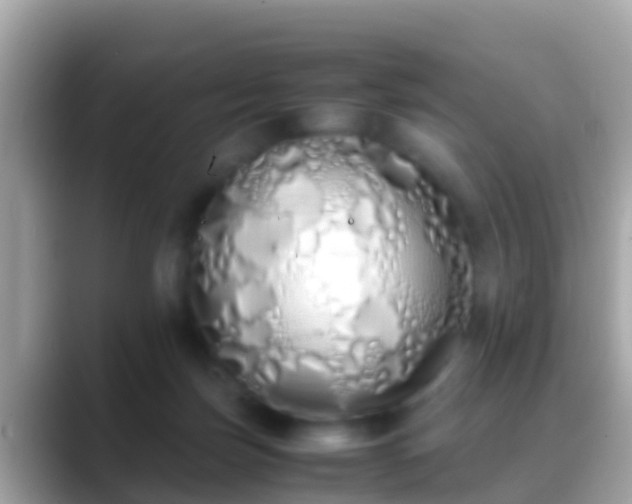 X0000088640171200706011209