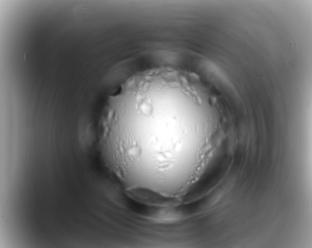 X0000088640173200706011209