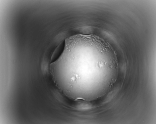 X0000088640185200706011209