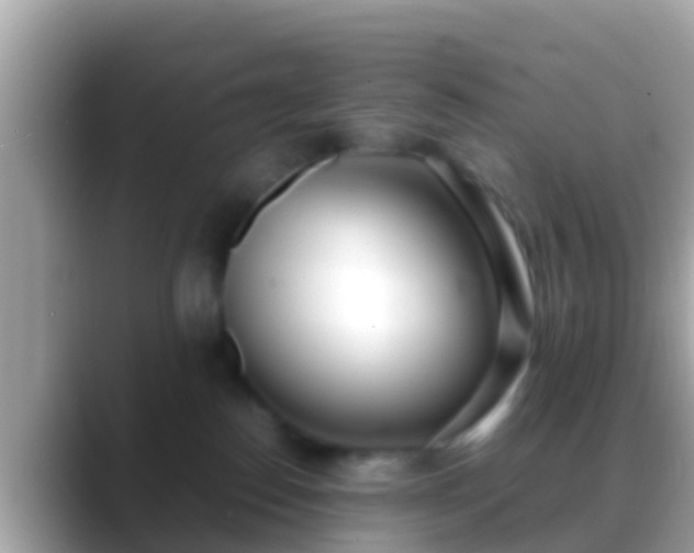 X0000088640186200706011209