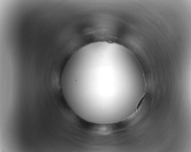 X0000088640187200706011209