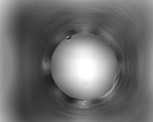 X0000088640190200706011209