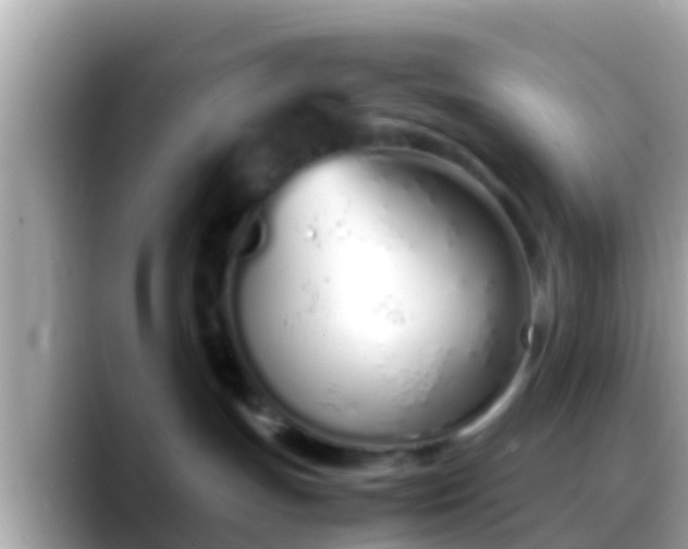 X0000088640191200706011209