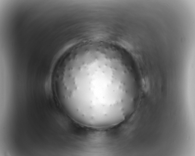 X0000088640196200706011209