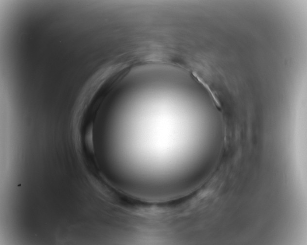 X0000088640197200706011209