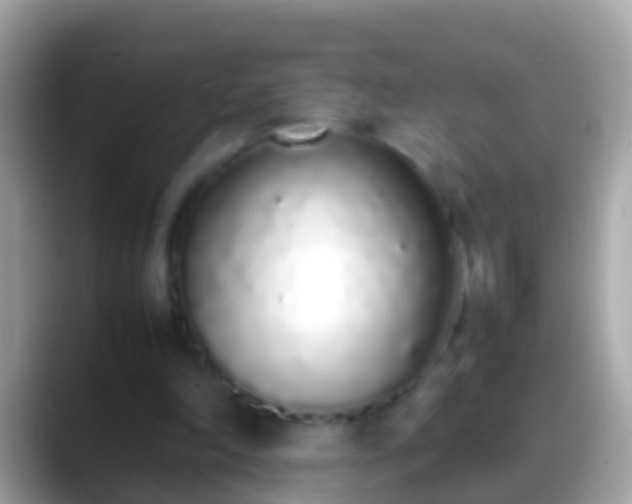 X0000088640198200706011209