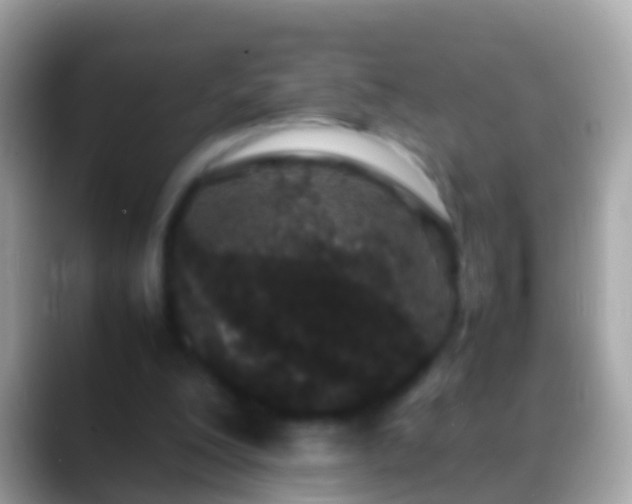 X0000088640200200706011209