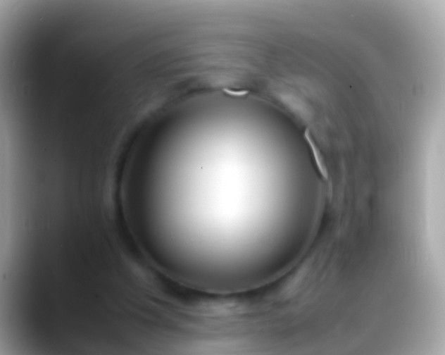 X0000088640201200706011209