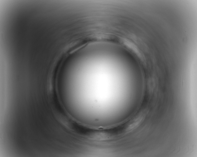 X0000088640203200706011209