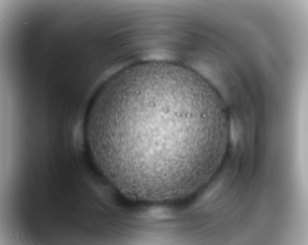 X0000088640204200706011209