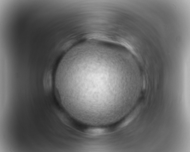 X0000088640205200706011209