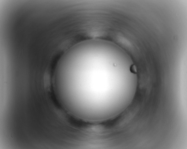 X0000088640210200706011209