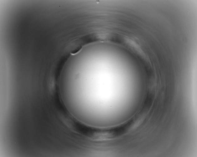 X0000088640213200706011209