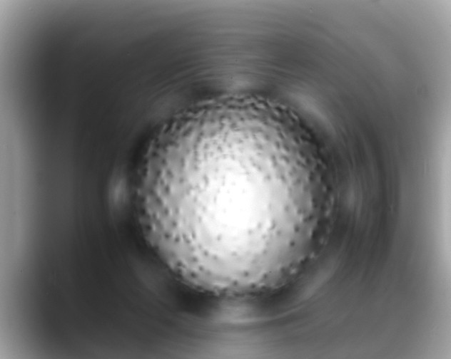 X0000088640214200706011209