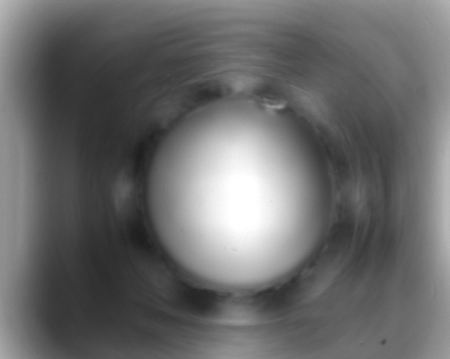 X0000088640222200706011209