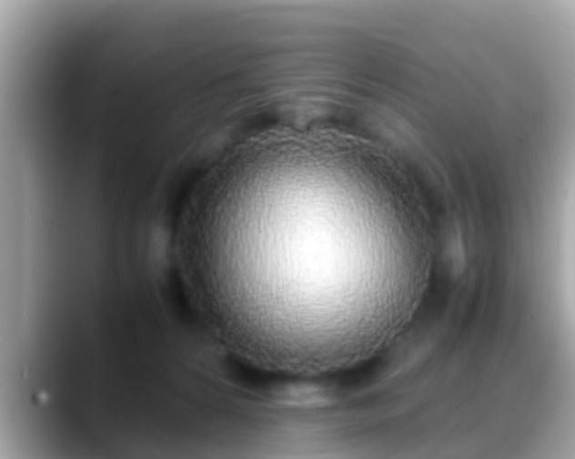 X0000088640224200706011209