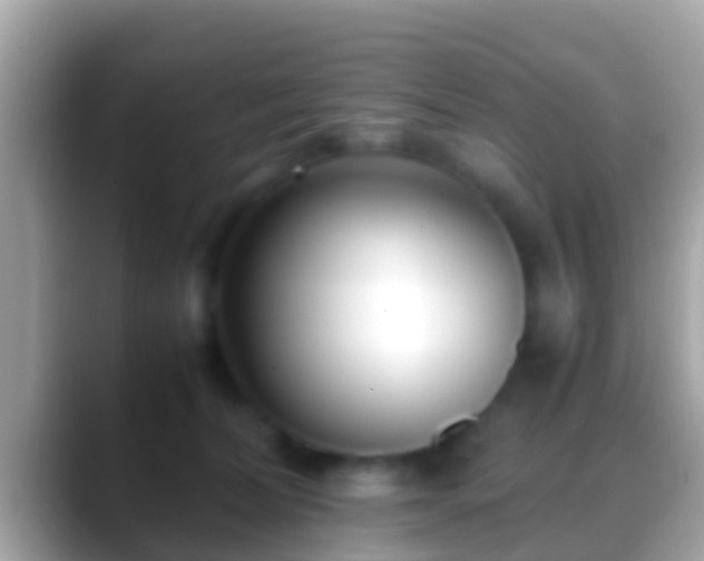 X0000088640228200706011208
