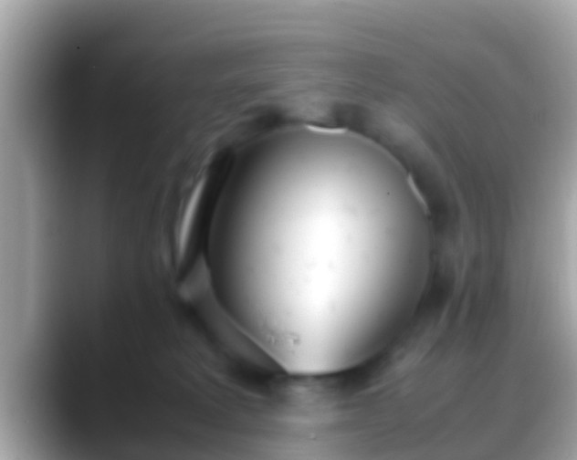 X0000088640229200706011208
