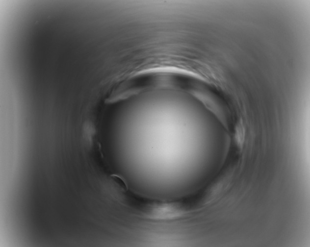 X0000088640235200706011208