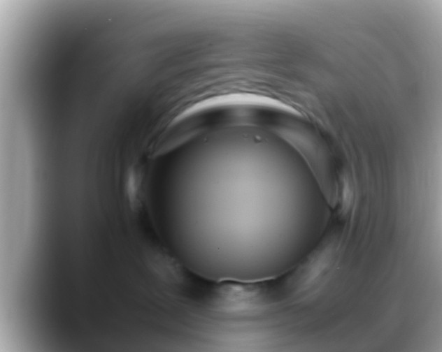 X0000088640239200706011208