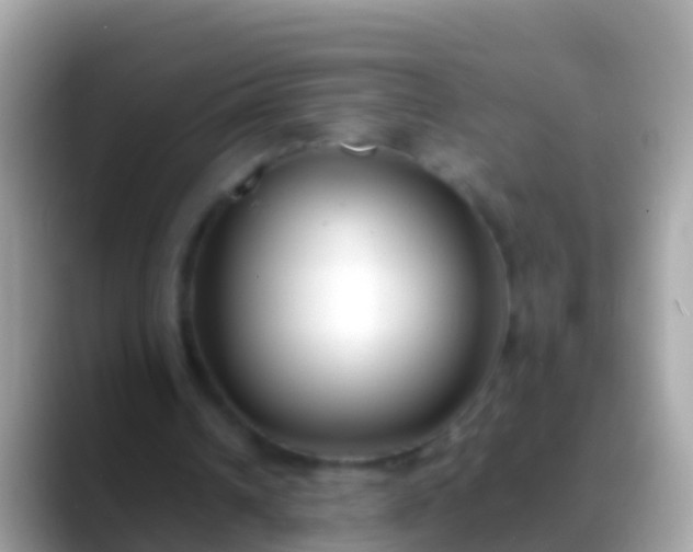 X0000088640242200706011208