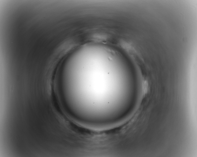 X0000088640243200706011208