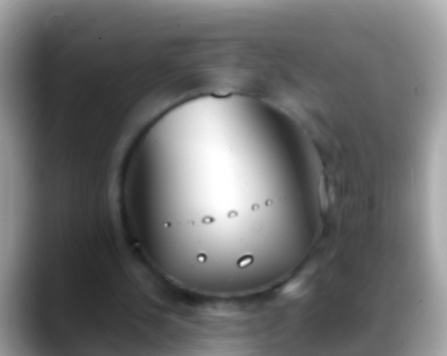 X0000088640244200706011208