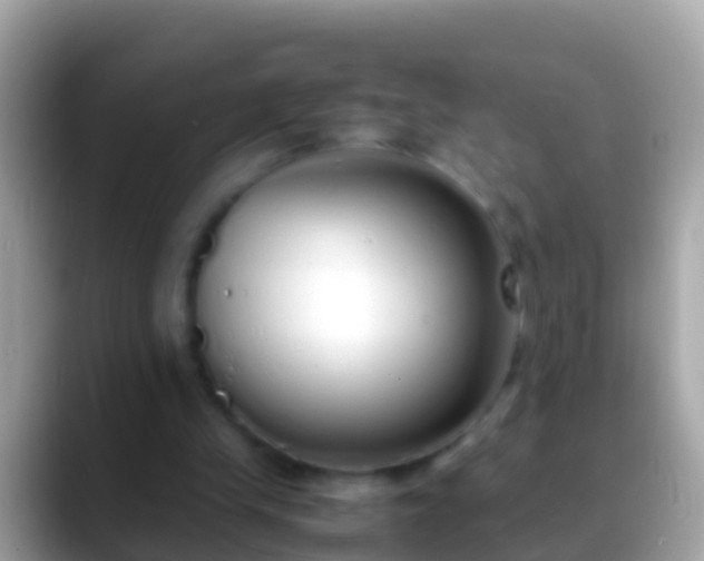 X0000088640245200706011208