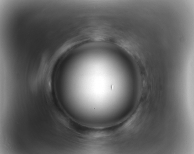 X0000088640246200706011208