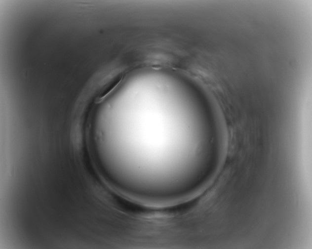 X0000088640247200706011208