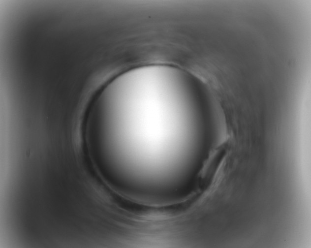 X0000088640248200706011208