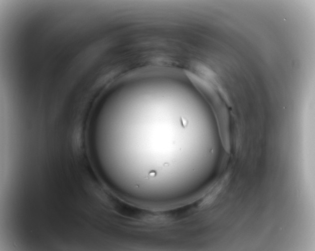 X0000088640249200706011208