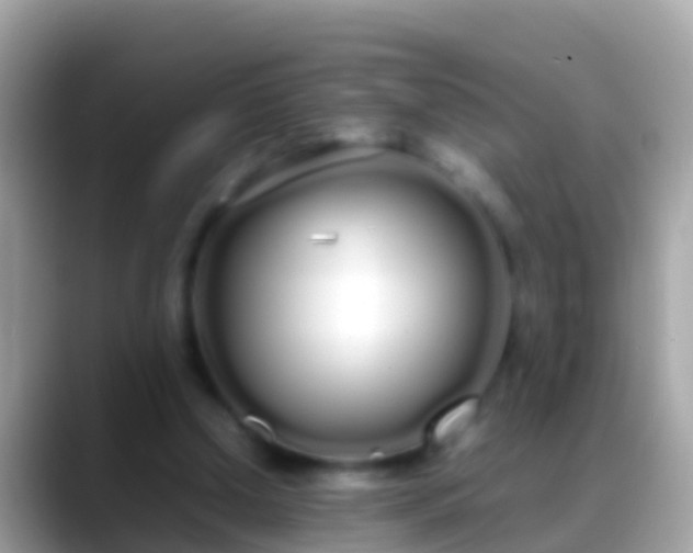 X0000088640250200706011208