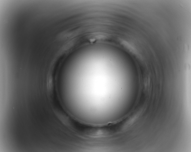 X0000088640254200706011208