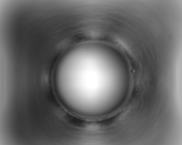 X0000088640258200706011208