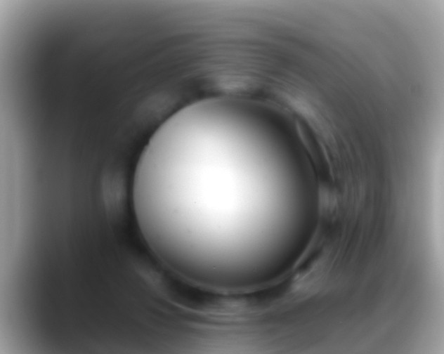 X0000088640260200706011208