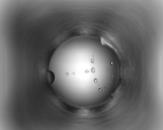 X0000088640265200706011208